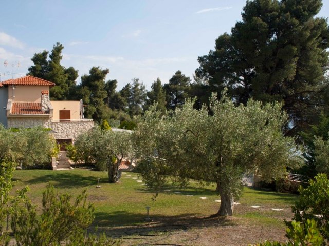VILLA ELIA